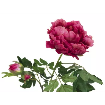 EUROPALMS Premium Peony Branch Artificial Plant, Magenta, 100cm 82530221