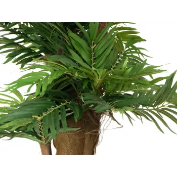 EUROPALMS areca palma umjetna biljka, 140cm 82509407