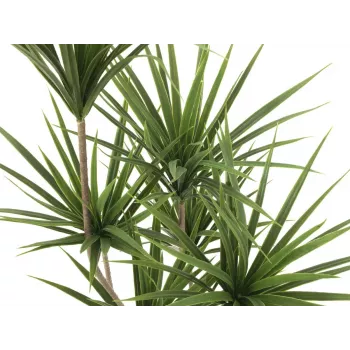 EUROPALMS umjetna palma juka, 130cm 82511552