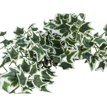 EUROPALMS Holland Ivy Bush Screen Classic, Artificial, 70cm 82502211