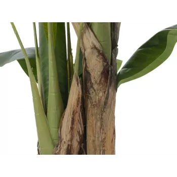 EUROPALMS umjetno drvo banane, 120cm, realistično zeleno lišće, crna posuda 82509537
