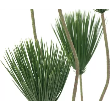 EUROPALMS umjetna biljka papirus, 130 cm 82600235