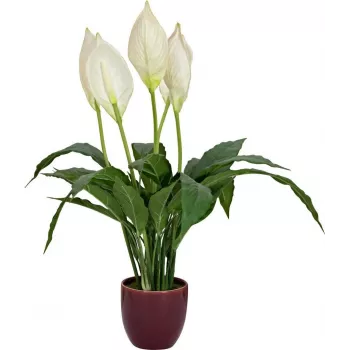 EUROPALMS umjetni ljiljan mira, 60 cm 82505660