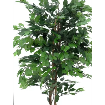 EUROPALMS Ficus Benjamina Multi-Stem Artificial Plant, 210cm 82506127