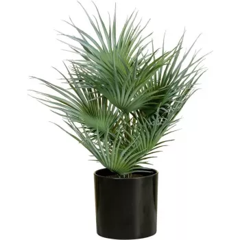 EUROPALMS umjetna lepezasta palma u tegli, 55 cm 82509401