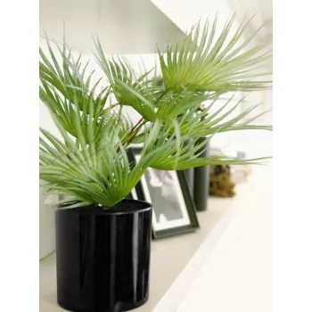 EUROPALMS umjetna lepezasta palma u tegli, 55 cm 82509401