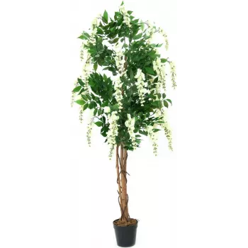 EUROPALMS umjetna biljka zlatna kiša, bijela, 150cm (82507105)