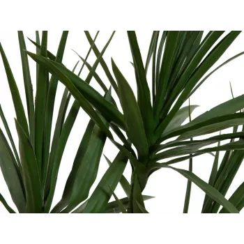 EUROPALMS umjetna biljka dracena, zelena, 170 cm 82505799