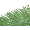 EUROPALMS umjetni list kokosove kraljevske palme, 180cm 82509847