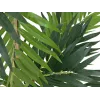 EUROPALMS Parlour Palm Artificial Plant, 150cm 82509495