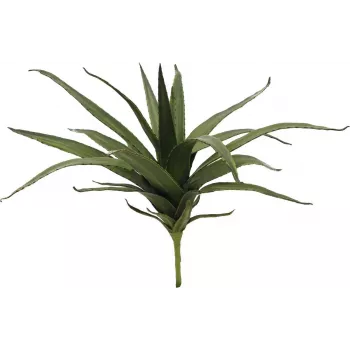 EUROPALMS aloe (EVA), umjetna, zelena, 50cm (82530570)