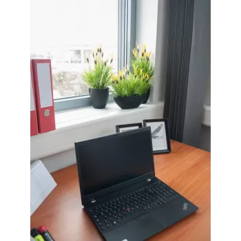 EUROPALMS umjetna biljka zobeni korijen, 40cm 82505639