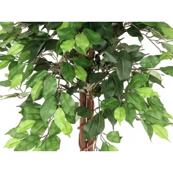 EUROPALMS Ficus Benjamina višestabljika umjetna biljka, 150cm 82506125