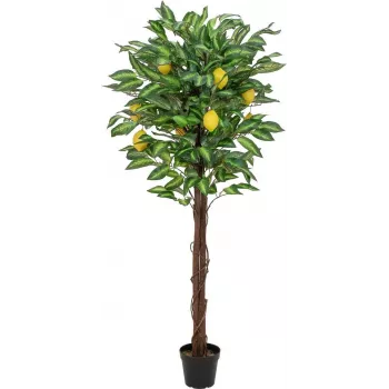 EUROPALMS umjetno drvo limuna, 150cm 82507815