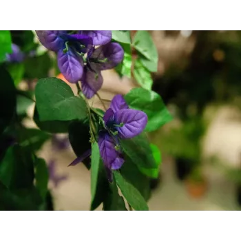 EUROPALMS bougainvillea lavanda umjetna biljka 180cm 82507036