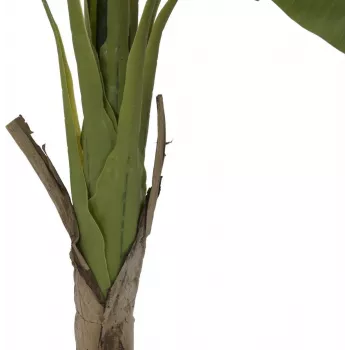 EUROPALMS umjetna biljka banane, 145cm 82509504