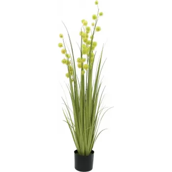 EUROPALMS umjetna biljka pompon trava, 122 cm, zelena 82500136