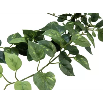 EUROPALMS Pothos grm-živica Classic, umjetna, 70cm (82502201)