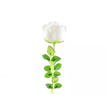 EUROPALMS Crystal Rose umjetni cvijet, bijeli, 81 cm, 12 komada 82600208