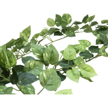 EUROPALMS Pothos girlanda Classic, umjetna, 180cm 82503728