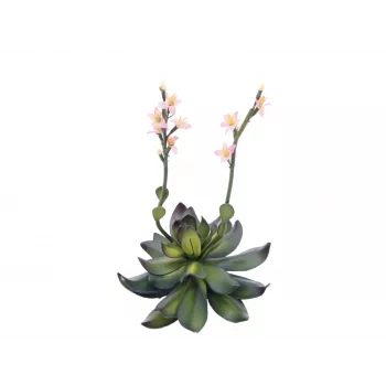 EUROPALMS Stone Rose (EVA) umjetna biljka, ružičasta, 32cm 82530572