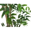 EUROPALMS Ficus Longifolia umjetna biljka, 165cm 82506350