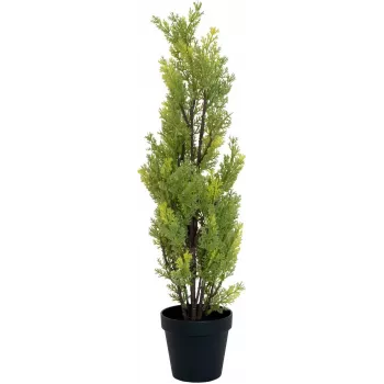 EUROPALMS Leyland čempres umjetna biljka, 60cm 82606959