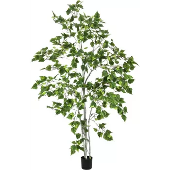 EUROPALMS umjetna biljka breze 180cm 82505231