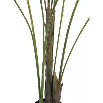 EUROPALMS velikolisna areka umjetna palma areka, 185cm (82509442)