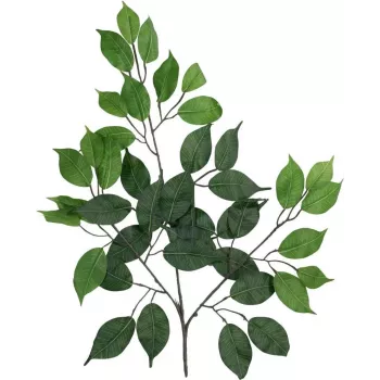 EUROPALMS umjetna grana Ficus Benjamina, paket od 12 82506101