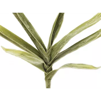 EUROPALMS umjetna grana juke (EVA), zelena 82531063