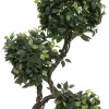 EUROPALMS Ficus Multi Spiral Trunk umjetna biljka, 160cm 82501563