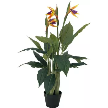 EUROPALMS umjetna biljka Strelitzia, 90 cm 82540502