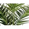EUROPALMS Kentia palma umjetna biljka 240cm 82511368