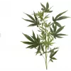EUROPALMS Artificial Hemp Branch, 90cm, Green 82506699