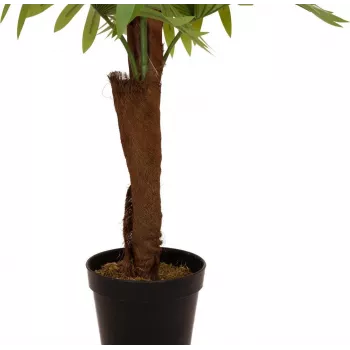 EUROPALMS umjetna biljka lepezasta palma, 155cm 82509303