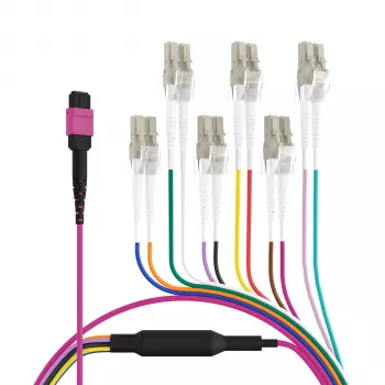 EFB Elektronik MPO-PLUS (F) na LC trunk kabel, OM4, 12 vlakana, tip B, LSZH, Erika Violet, 1m MPOF12LCOM4-1