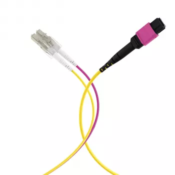 MPO-PLUS (F) na LC trunk kabel OM4 12 vlakana tip B LSZH Erika Violet 10m MPOF12LCOM4-10