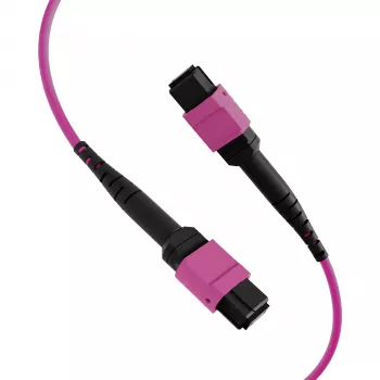 EFB Elektronik MTP-F/MTP-F 48-vlaknasti matrični patch kabel OM4, LSZH erika ljubičasti, kod A, 25m MTPF48MTPFOM4-25-A