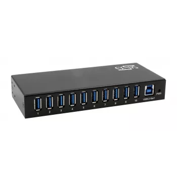 EXSYS EX-11290HMS USB 3.2 Gen 1 10-Port Hub with 12V/5A Power Supply