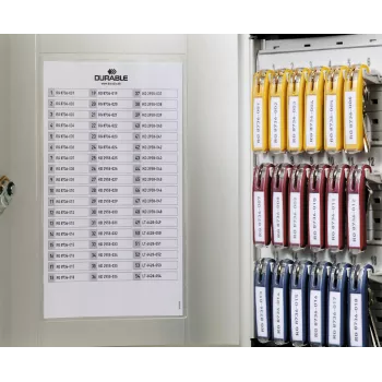 DURABLE KEY BOX 54 ormarić za ključeve s cilindričnom bravom, svijetlo sivi, čelik, zidna montaža 195323