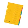 Herlitz A4 kartonski registratori većeg formata, 10 dijelova, prazne kartice, 5 boja, manila reciklirani karton, prethodno probušeni s organizacijskim tiskom 300006188