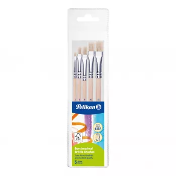 Pelikan Starter set kistova, 5 kistova s drvenim drškama, razne veličine, prozirna kutija 300008263
