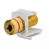 Rutenbeck Keystone Loudspeaker Connection Adapter KMK-LS, Screw Terminals, Black/Red, Tool-Free 17000608