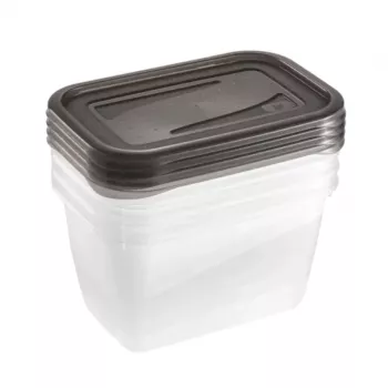 keeeper fredo fresh set posuda za pohranu, 4 x 0,75 L, pravokutne, prozirne sa sivim poklopcima 3067382700000