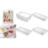 Metaltex Frigo-System Organizer, Small, with Lid, Transparent, Polystyrene PS, 1 Piece (235412000)