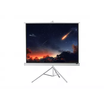 celexon Economy platno za projektor sa stativom 133 x 133 cm, White Edition