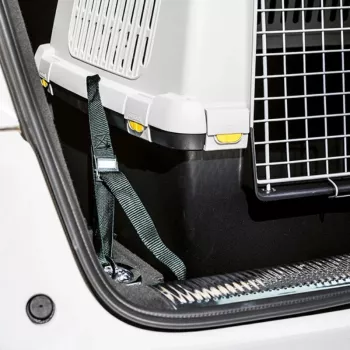STEFANPLAST sigurnosni pojasevi za auto za transportnu kutiju Gulliver Touring (3 kom.)