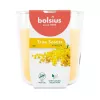 BOLSIUS True Scents mirisna svijeća u staklu - mimoza, 97x85 mm
