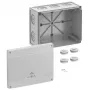 Spelsberg Abox Pro 250-L razvodna kutija, IP66/IP67/IP69, 42540001